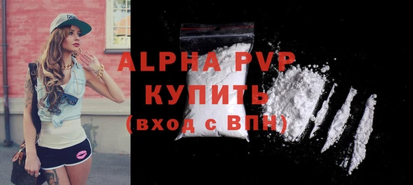 гашик Верея