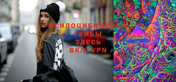 ALPHA PVP Богородицк