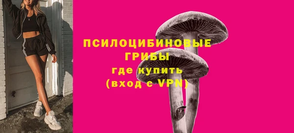 ALPHA PVP Новодвинск