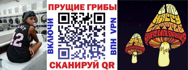 darknet как зайти  Валдай  Псилоцибиновые грибы Psilocybine cubensis 